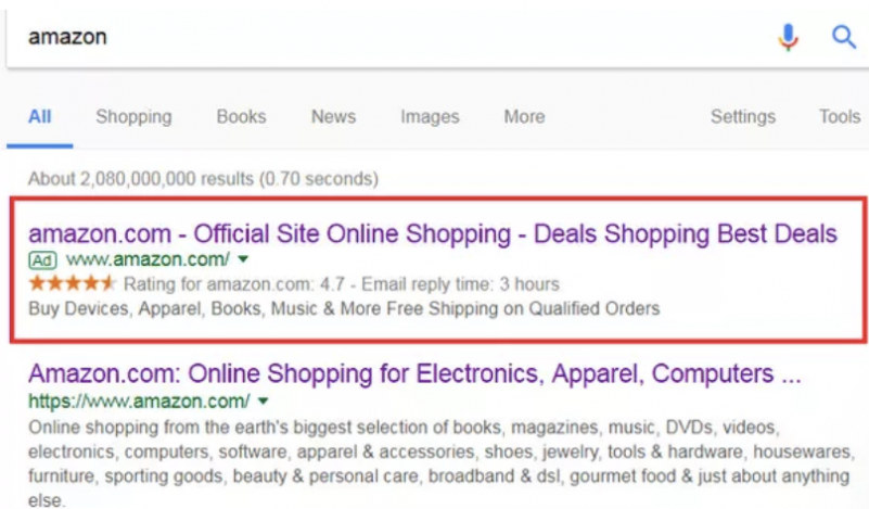 5 Online Scams to Look Out For This Holiday Season google search results on fake amazon websites