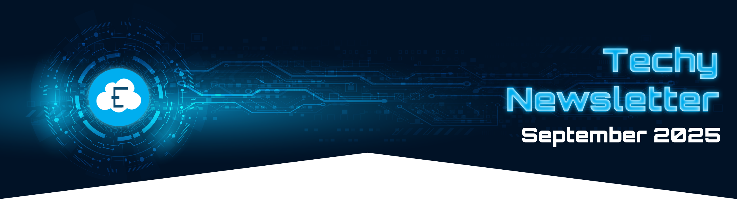 newsletter banner